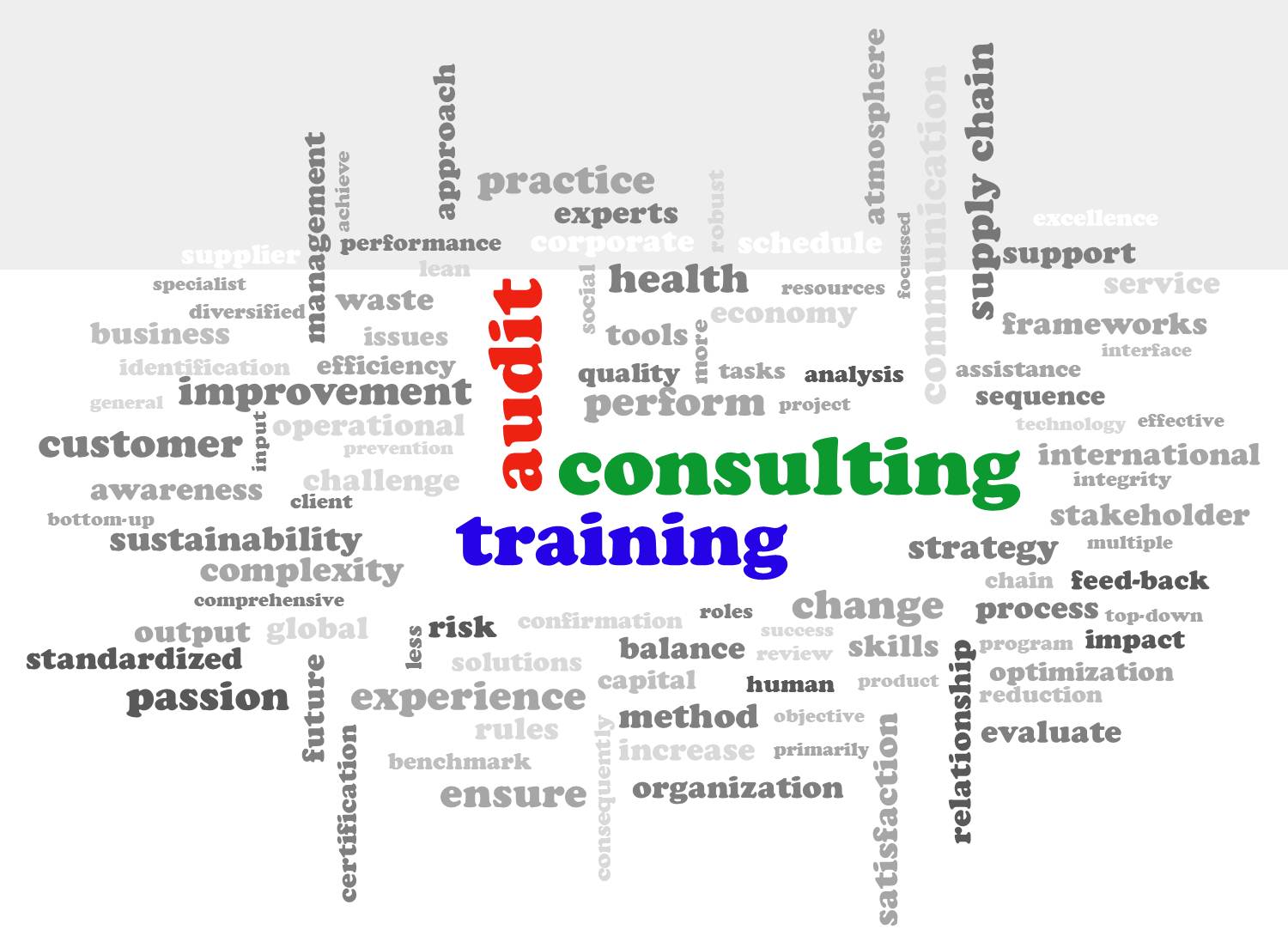 consulting training audit